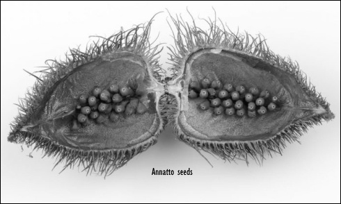 Why testosterone boosters with geranylgeraniol might work