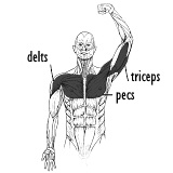 Bench presses are just as stressful for the pecs as for the triceps
