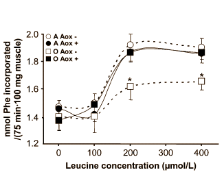 Not so young any more? Leucine still works – with extra antioxidants