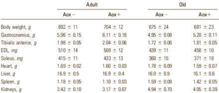 Not so young any more? Leucine still works � with extra antioxidants