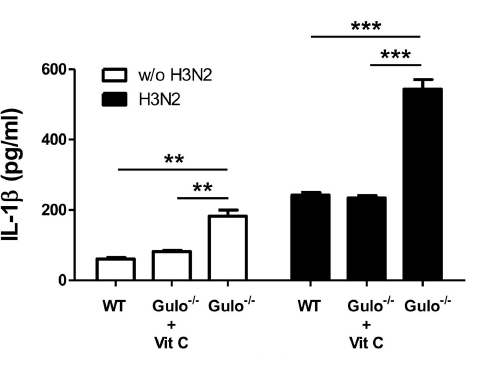 Vitamin C, the not-so secret weapon against flu