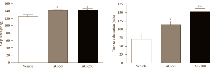 Anti-tumour mushroom Antrodia camphorata has ergogenic effect
