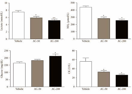 Anti-tumour mushroom Antrodia camphorata has ergogenic effect