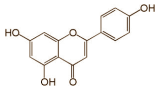 L'apigénine l'antioxydant pro-anabolisant du persil