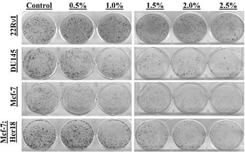 An anti-cancer factor in the skin of apples