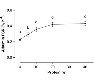Optimal protein dose after weight training is twenty grams