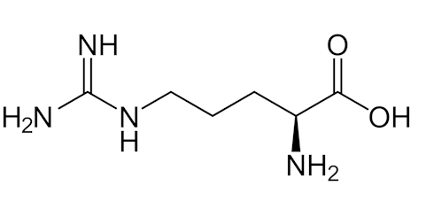 Wounds heal twice as fast as normal with supplementation with the amino acid arginine. This is evident from a small Australian clinical study published in the Journal of Wound Care in 2010.