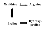 Wounds heal more quickly with arginine