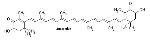This combination of astaxanthin and collagen keeps your skin young
