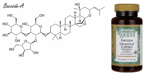 Bacopa monnieri, a natural smart drug for intelligent people