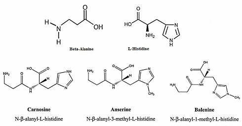 How vitamin E supplementation can contribute to vitamin E deficiency