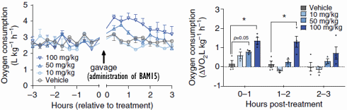 BAM15, the 'light' version of DNP