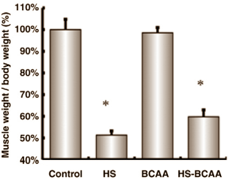 Can't train? Keep on using those BCAAs...