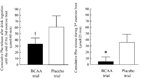Small amount of BCAAs and L-arginine prevents cardio-induced muscle breakdown