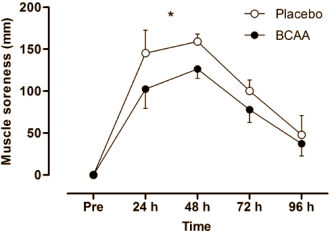 You'll get more out of your plyometrics with BCAAs