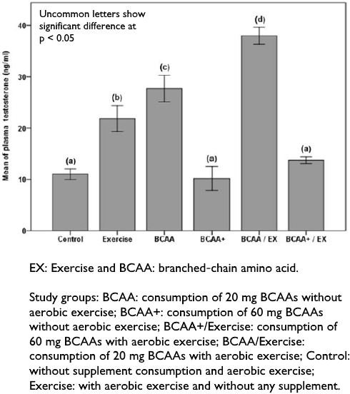 Physical exercise + BCAA's = much more testosterone