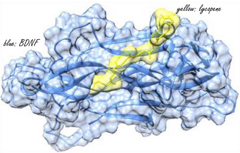 How dietary flavonoids and carotenoids protect against depression