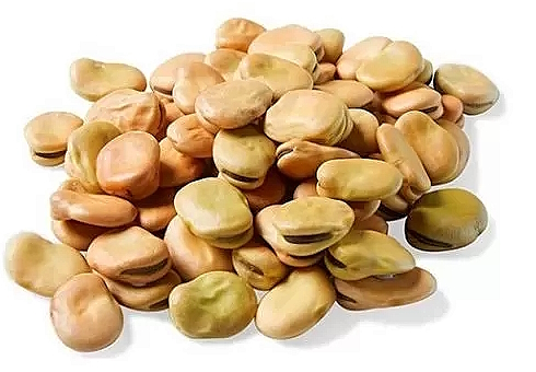 High intake of nuts and legumes protects against brain cancer
