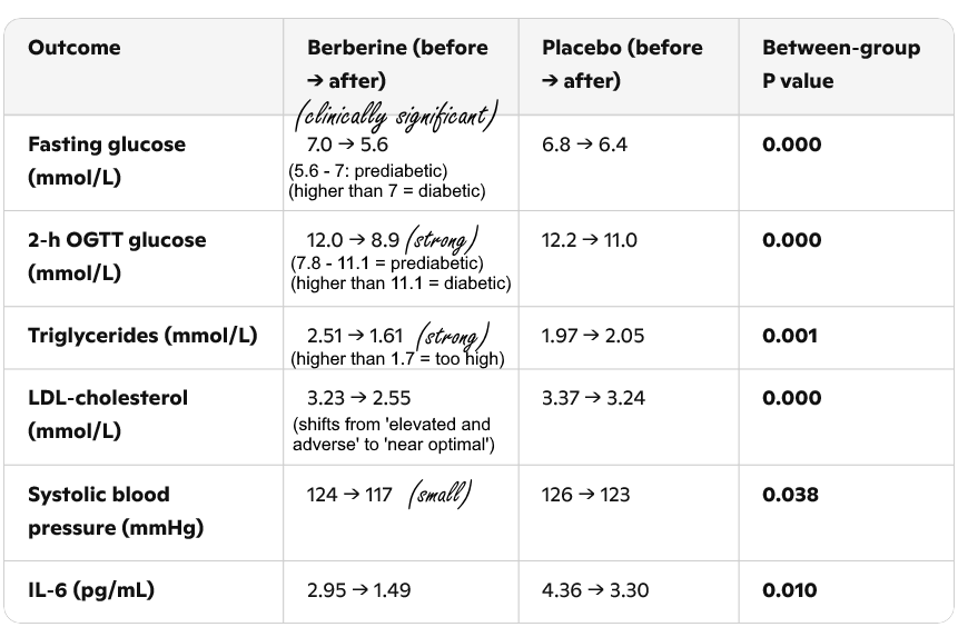 Berberine supplementation can reduce glucose levels to prediabetic levels in people with early-stage type 2 diabetes. This was shown in a Chinese trial published in the Journal of Clinical Endocrinology and Metabolism in 2008.