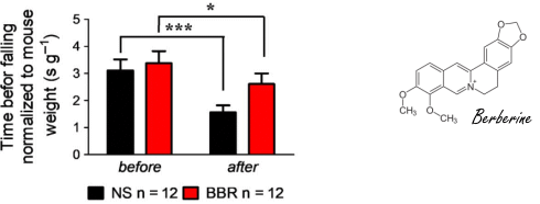 Take berberine, live 80 percent longer