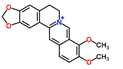 Supplementing with berberine makes the almost-diabetic healthier and slimmer