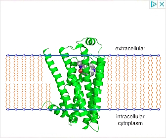 Beta-2 Agonists