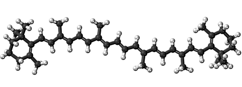 More beta-carotene, longer life