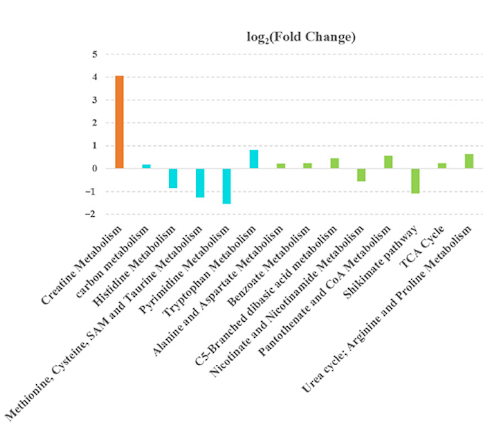 This dose of beta-glucans makes athletes fitter and stronger