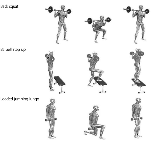 Supplementation with beta-alanine makes circuit training with weights more effective