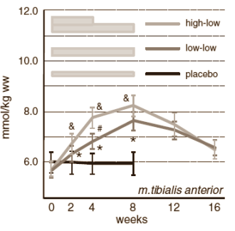 Small amount of beta-alanine also works