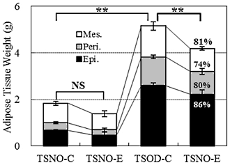 Small amount of beta-cryptoxanthin reduces fat percentage