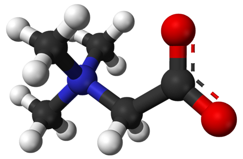 Heavy training + betaine = more testosterone