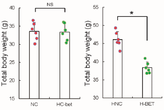 Betaine forces fat cells to eat themselves