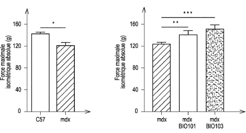 Ecdysterone analogue Bio103 has more anabolic effect than its mother compound