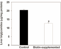 Last week we wrote about a 2009 animal study done by Mexican researchers, in which biotin supplementation led to a slight reduction in fat mass. The effect was not overwhelming, but the mechanism was interesting. That mechanism is even more interesting after reading about a more recent molecular study that the same researchers have done. This has shown that biotin causes weight loss in lab animals via the second messenger cGMP and the energy sensor AMPK.