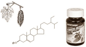 The anabolic effect of Bitter Melon