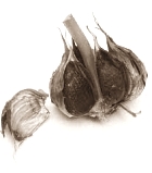 Garlic enhances slimming effect of running