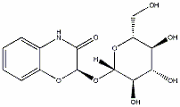 Blepharis edulis: an unlikely testosterone booster