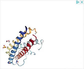 X203 | Living longer by blocking interleukin-11