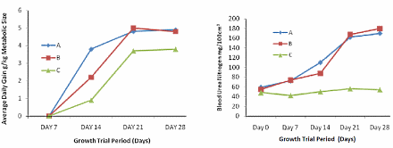 Borassus aethiopum for bodybuilders?