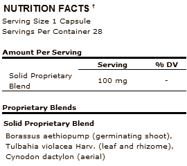 Borassus aethiopum for bodybuilders?