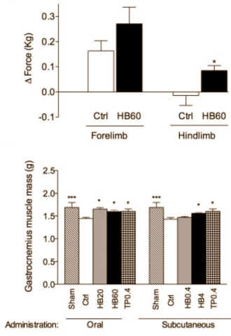 Animal study shows anabolic effect of 28-homobrassinolide