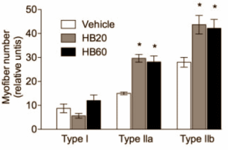 Animal study shows anabolic effect of 28-homobrassinolide