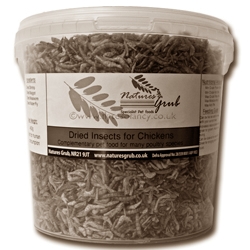 As protein powders and bars containing whey and casein become unaffordable, food technologists are searching for alternatives. Researchers at the University of Wageningen in the Netherlands studied the proteins in insects such as house crickets and the Dubia cockroach, and discovered that the nutritional value of insect-based protein is comparable to that of soya protein. On the other hand, insect protein is not as good as casein.