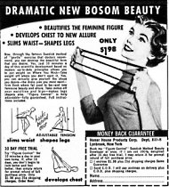 Women with larger cup size draw more men