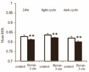 Cacao boosts fat burning