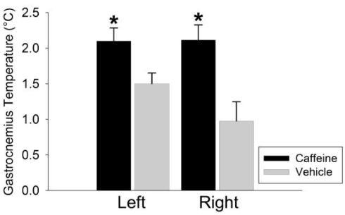Caffeine increases calorie consumption by physical exercise