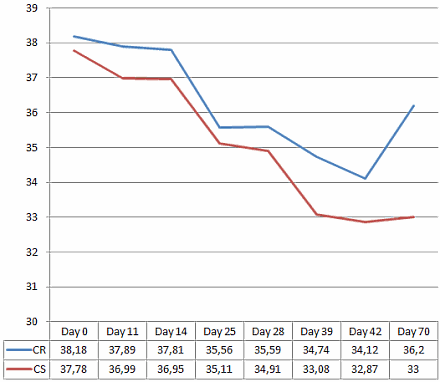 Strict weight loss diet works better if you bend the rules occasionally