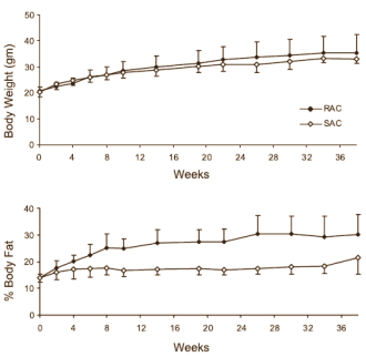 Slow carbs make you more muscular and more active, says animal study