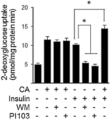 Slimming aid carnosic acid has anabolic effect